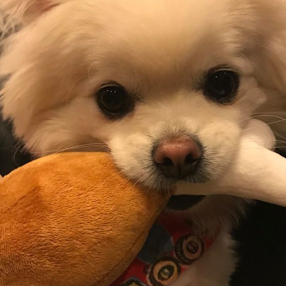 Meet your Posher, Susan - Picture 1 of 1